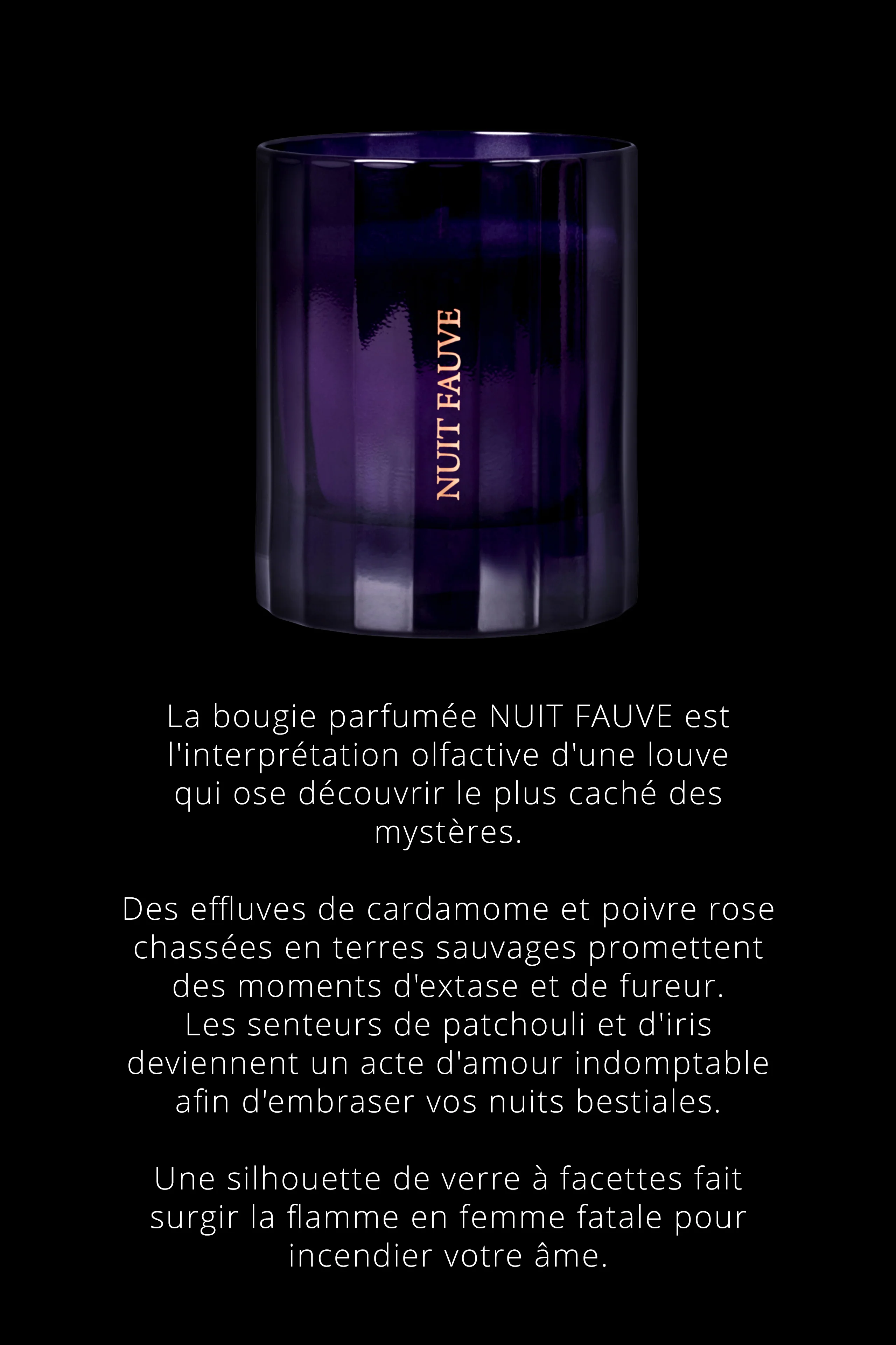 Bougie d'ambiance notes Chyprées - Nuit Fauve - Image 4